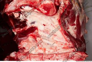 Photo Textures of RAW Beef Meat